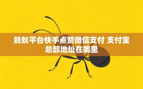 蚂蚁平台快手点赞微信支付 支付宝总部地址在哪里
