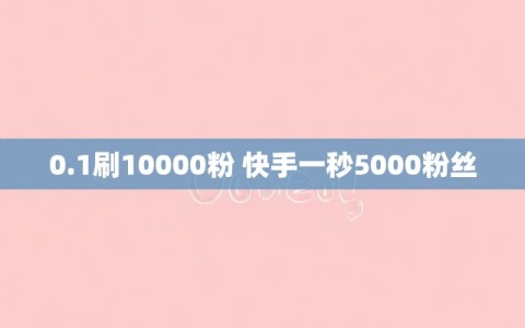 0.1刷10000粉 快手一秒5000粉丝