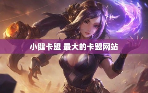 小健卡盟 最大的卡盟网站