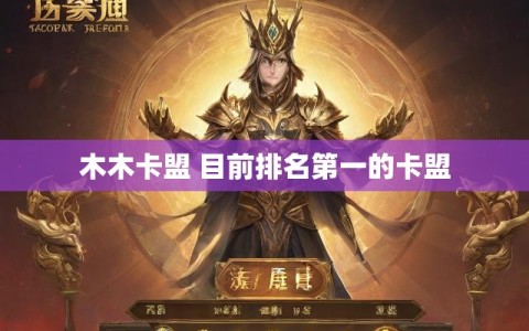 木木卡盟 目前排名第一的卡盟