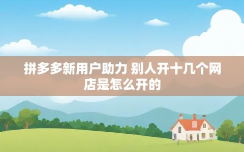 拼多多新用户助力 别人开十几个网店是怎么开的