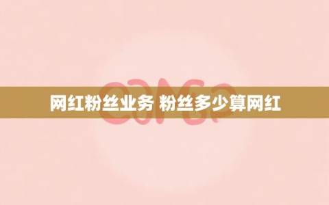 网红粉丝业务 粉丝多少算网红