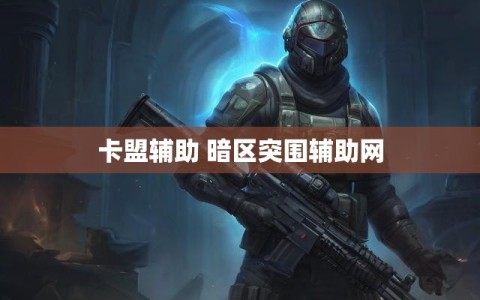 卡盟辅助 暗区突围辅助网