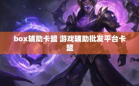 box辅助卡盟 游戏辅助批发平台卡盟