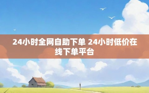 24小时全网自助下单 24小时低价在线下单平台