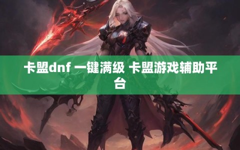 卡盟dnf 一键满级 卡盟游戏辅助平台