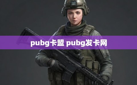 pubg卡盟 pubg发卡网