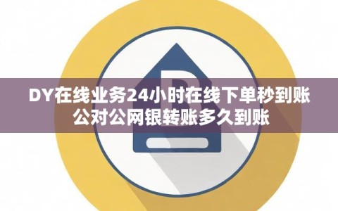 DY在线业务24小时在线下单秒到账 公对公网银转账多久到账