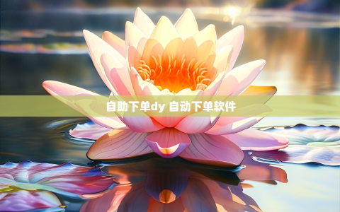 自助下单dy 自动下单软件