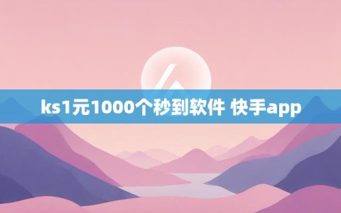 ks1元1000个秒到软件 快手app