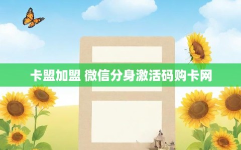 卡盟加盟 微信分身激活码购卡网