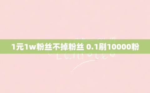 1元1w粉丝不掉粉丝 0.1刷10000粉
