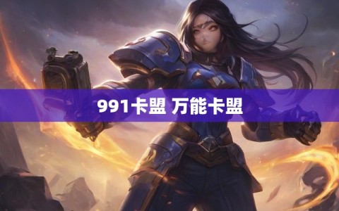 991卡盟 万能卡盟