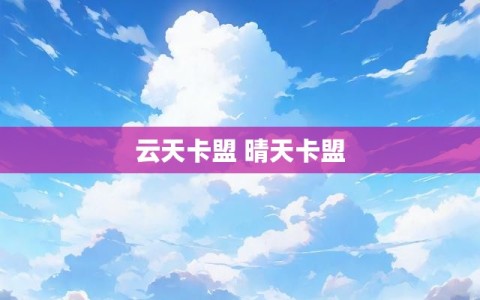 云天卡盟 晴天卡盟