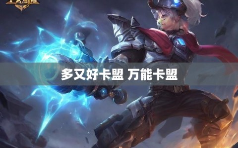 多又好卡盟 万能卡盟