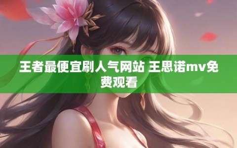 王者最便宜刷人气网站 王思诺mv免费观看