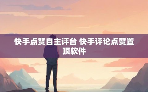 快手点赞自主评台 快手评论点赞置顶软件