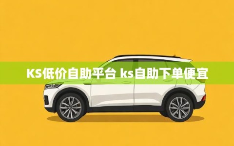 KS低价自助平台 ks自助下单便宜