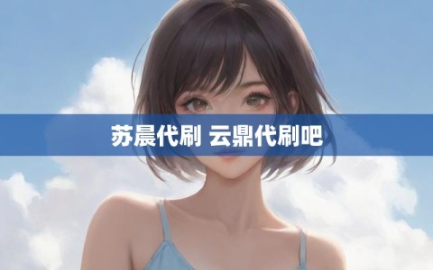 苏晨代刷 云鼎代刷吧