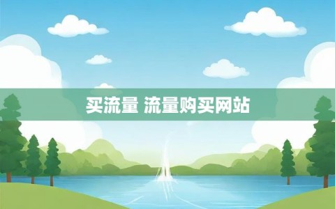 买流量 流量购买网站