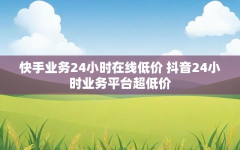 快手业务24小时在线低价 抖音24小时业务平台超低价