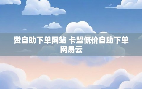 赞自助下单网站 卡盟低价自助下单网易云