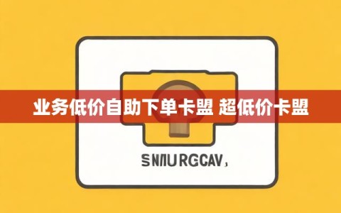 业务低价自助下单卡盟 超低价卡盟