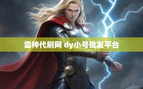 雷神代刷网 dy小号批发平台