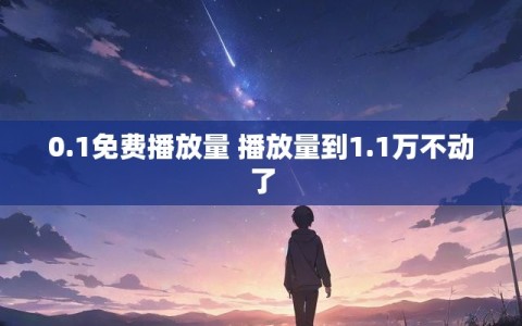 0.1免费播放量 播放量到1.1万不动了