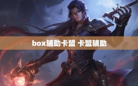 box辅助卡盟 卡盟辅助