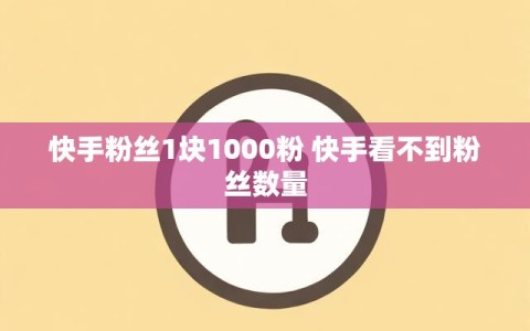 快手粉丝1块1000粉 快手看不到粉丝数量