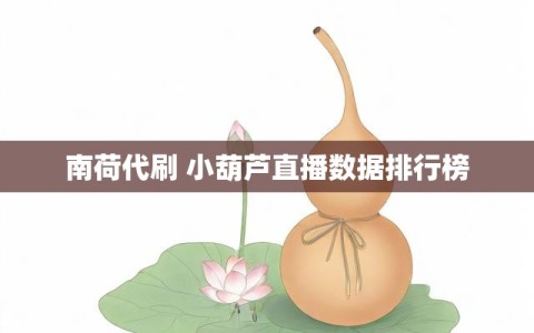 南荷代刷 小葫芦直播数据排行榜