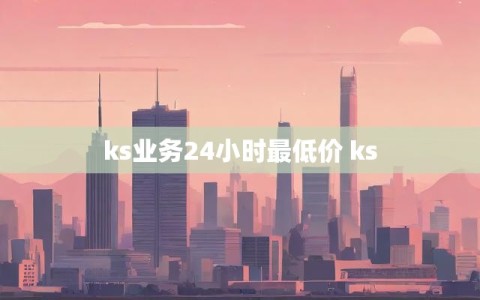 ks业务24小时最低价 ks