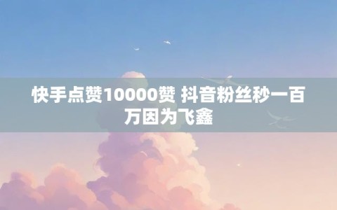快手点赞10000赞 抖音粉丝秒一百万因为飞鑫