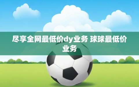 尽享全网最低价dy业务 球球最低价业务