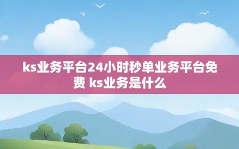 ks业务平台24小时秒单业务平台免费 ks业务是什么