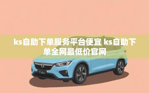 ks自助下单服务平台便宜 ks自助下单全网最低价官网