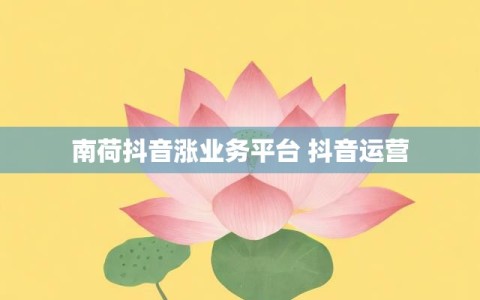 南荷抖音涨业务平台 抖音运营