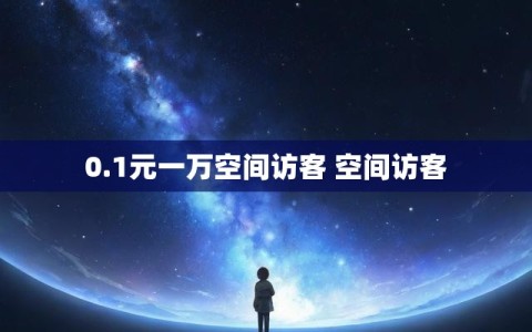 0.1元一万空间访客 空间访客