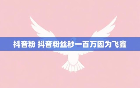 抖音粉 抖音粉丝秒一百万因为飞鑫