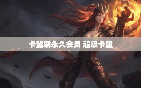 卡盟刷永久会员 超级卡盟