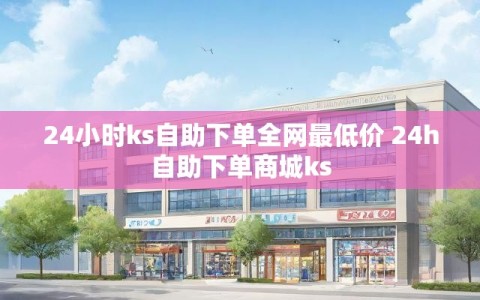 24小时ks自助下单全网最低价 24h自助下单商城ks