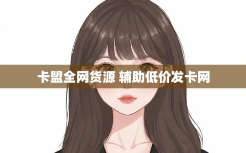 卡盟全网货源 辅助低价发卡网
