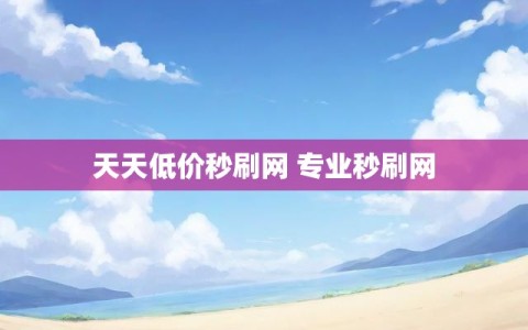 天天低价秒刷网 专业秒刷网