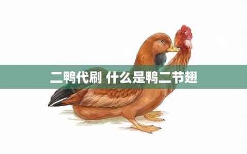 二鸭代刷 什么是鸭二节翅
