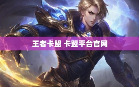 王者卡盟 卡盟平台官网