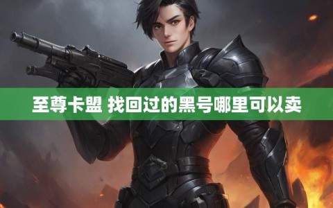 至尊卡盟 找回过的黑号哪里可以卖