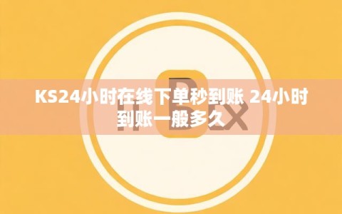 KS24小时在线下单秒到账 24小时到账一般多久