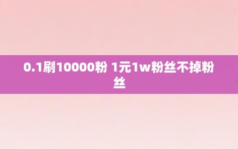 0.1刷10000粉 1元1w粉丝不掉粉丝