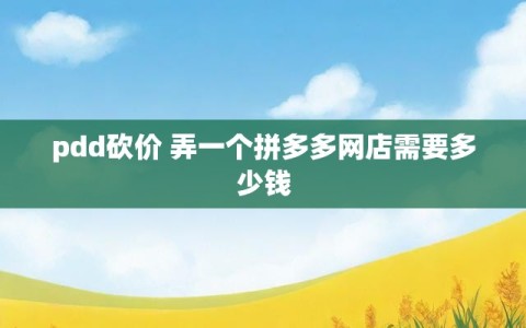 pdd砍价 弄一个拼多多网店需要多少钱